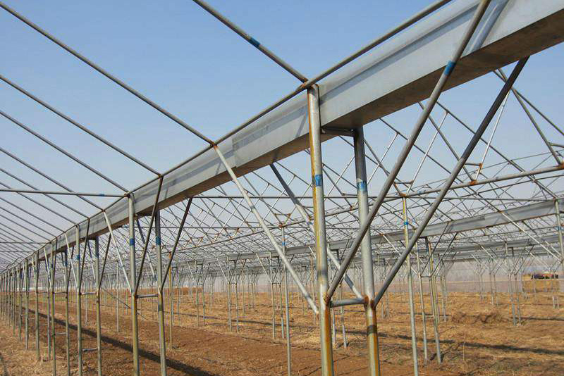 鋼結(jié)構(gòu)大棚